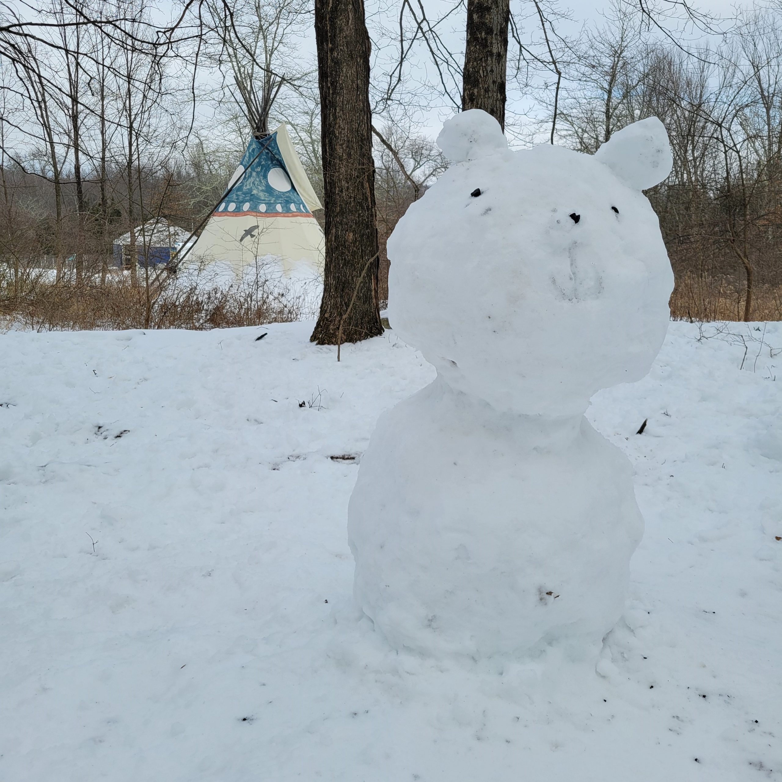 Snow Bear!